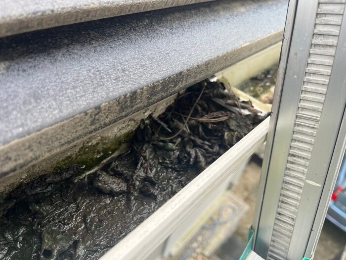 雨樋　多治見
