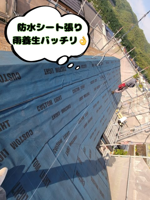 多治見市希望ヶ丘にて鳩小屋付き屋根カバー工事防水シートで雨養生