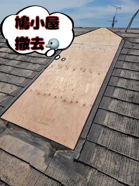多治見市希望ヶ丘にて鳩小屋付き屋根カバー工事鳩小屋撤去