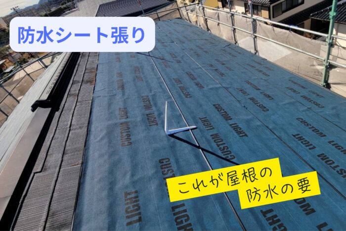 青い防水シートで屋根を全面覆った状態