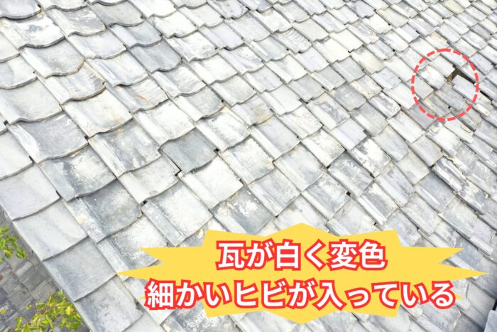 瓦表面が白く変色し、細かいヒビが入っている状態