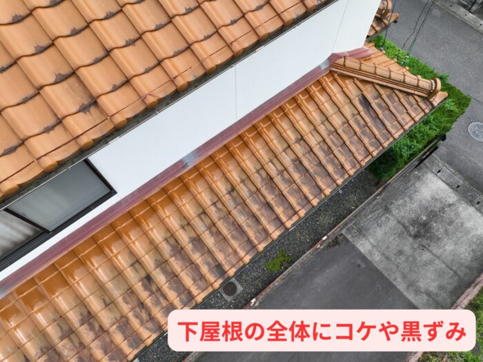 多治見市北丘町の住宅下屋根。瓦の表面に黒い汚れやコケが見られる。