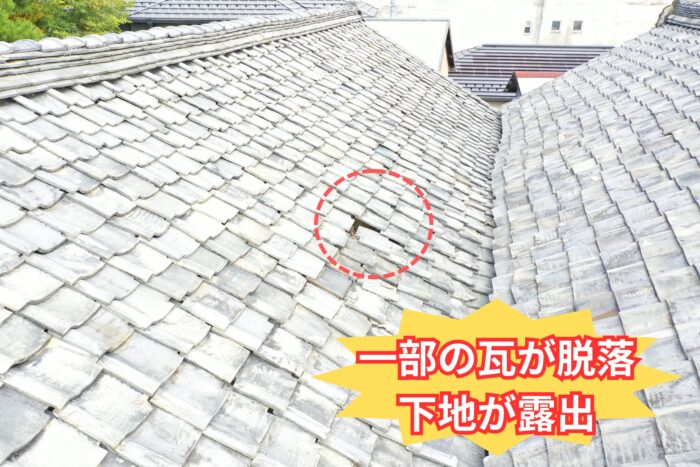 瓦の欠損により下地材が見えている危険な箇所