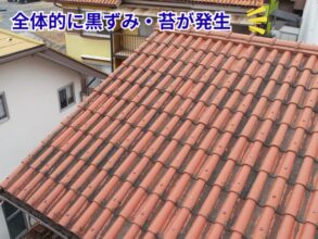 セメント瓦屋根全体と雨樋の位置を上空から撮影した写真。黒ずみ、苔が発生している。