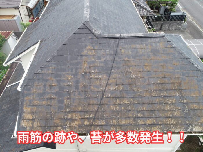 屋根全体が色あせ、雨筋の跡や苔の繁殖が進行しているスレート屋根。