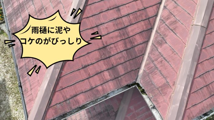 スレート屋根と谷部分、左側の雨樋に汚れやコケの堆積が見られる状態を上空から撮影した写真