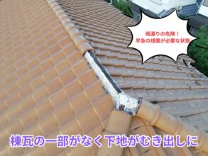 棟部分の漆喰が大きく崩れ、内部の土と木がむき出しになっている状態。