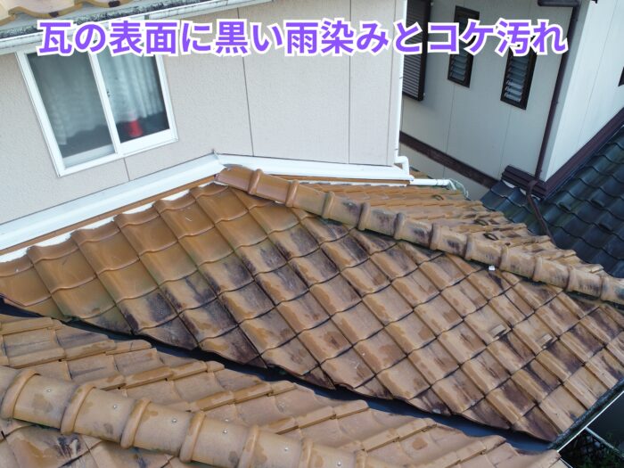 瓦表面に黒い雨染みとコケ汚れが広がり、湿気が溜まりやすい状態。