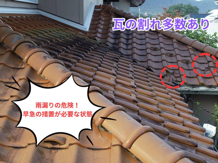 割れ瓦多数確認できる