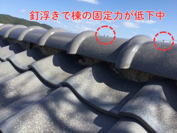 棟瓦上のビスが、頭が浮き上がって影ができている状態