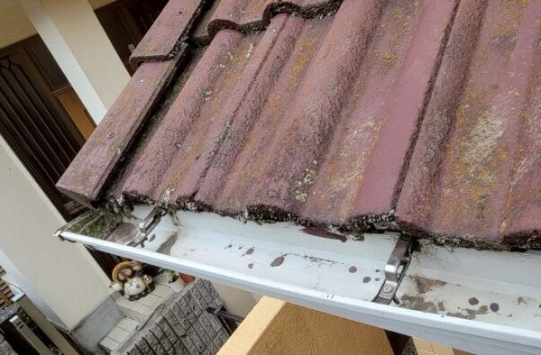 清掃後の雨樋写真