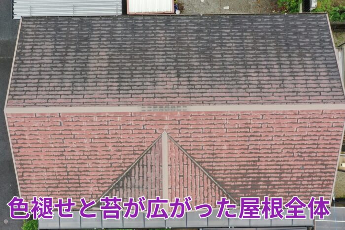 色褪せと苔が広がったスレート屋根の全景