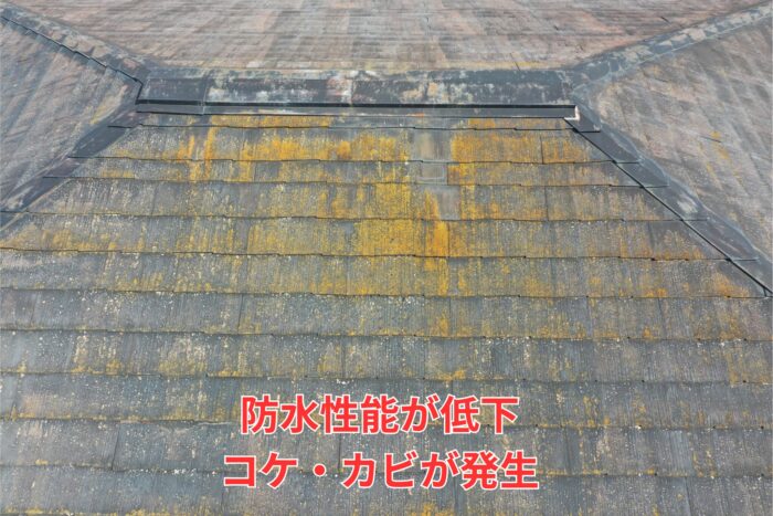 スレート屋根表面にコケやカビが付着している状態