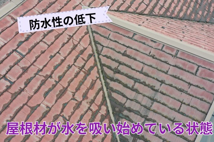 防水機能が落ち、屋根材が水を吸い始めている状態