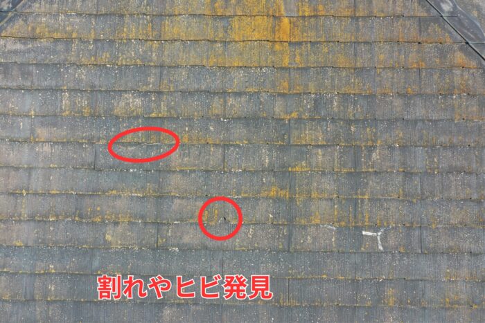 スレート屋根表面にコケが付着し、赤丸で割れやヒビが確認できる劣化状況の写真