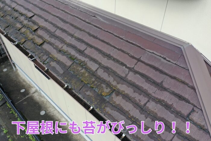 防水性が落ち、軒先に苔が発生した状態