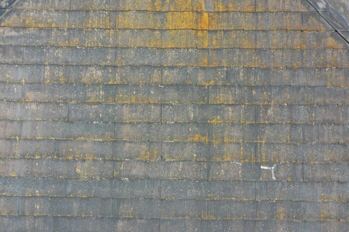 スレート屋根表面にコケやカビが付着している状態