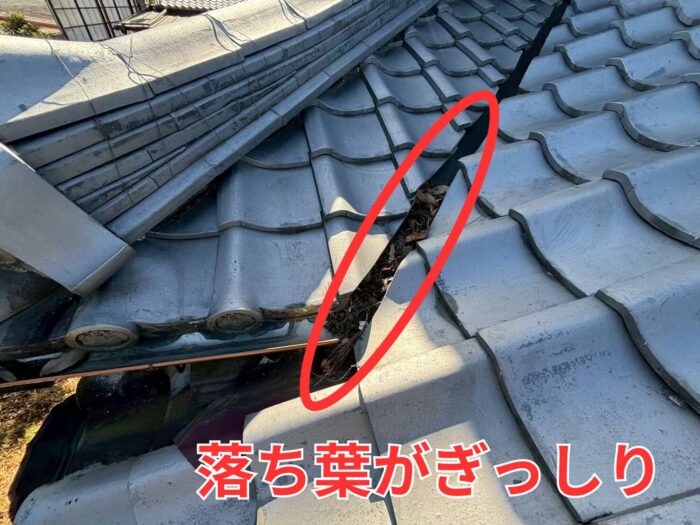 瓦屋根の谷部分に溜まった落ち葉