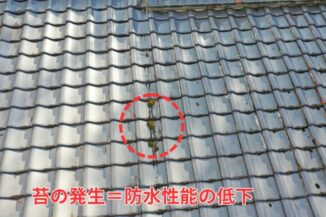 瓦の隙間に苔が発生している様子、防水性低下のサイン