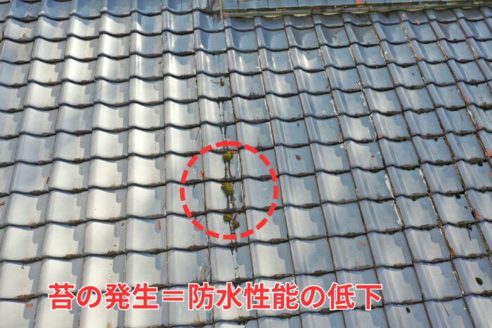 瓦の隙間に苔が発生している様子、防水性低下のサイン