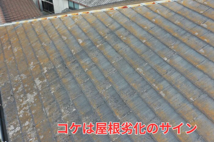 スレート屋根（セメント系の薄い屋根材）の表面に色あせ・コケ・汚れが広がっている状態