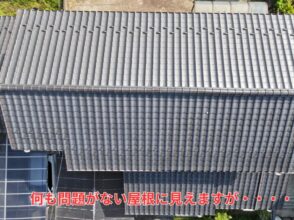 瓦屋根全体を上空から確認した様子
