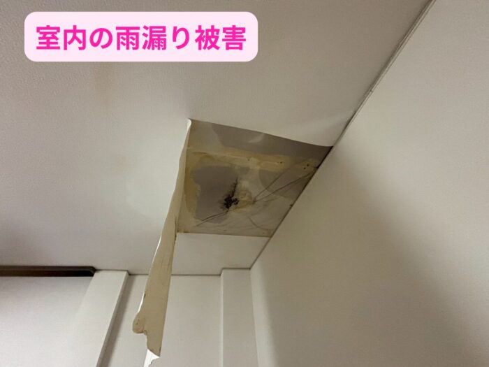 天井クロスが剥がれ黒ずみが広がった室内の雨漏り被害の様子