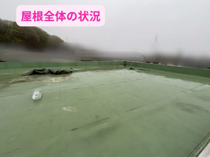 平らな屋根全体に劣化が広がり、防水機能が低下している状態