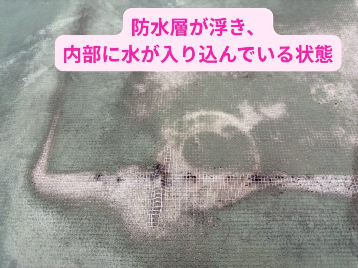 防水層が浮き上がり、内部に水が入り込んでいる陸屋根の劣化状況