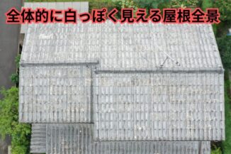白い剥がれとコケが広がった瓦屋根の全景