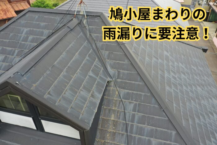 鳩小屋周辺の板金や取り合い部分を確認している様子