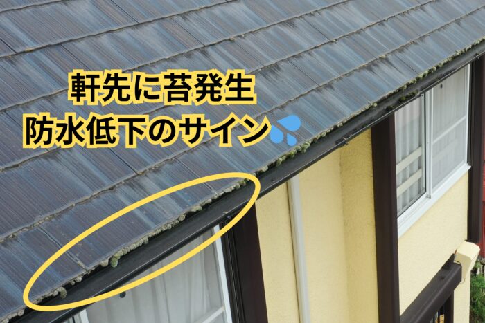 スレート屋根の軒先に苔が発生し、防水性能低下のサインが見られる様子