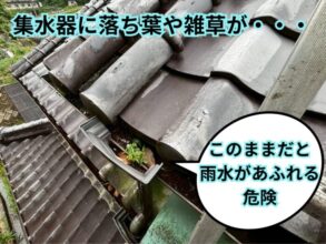 集水器まわりに草や落ち葉が詰まっている状態