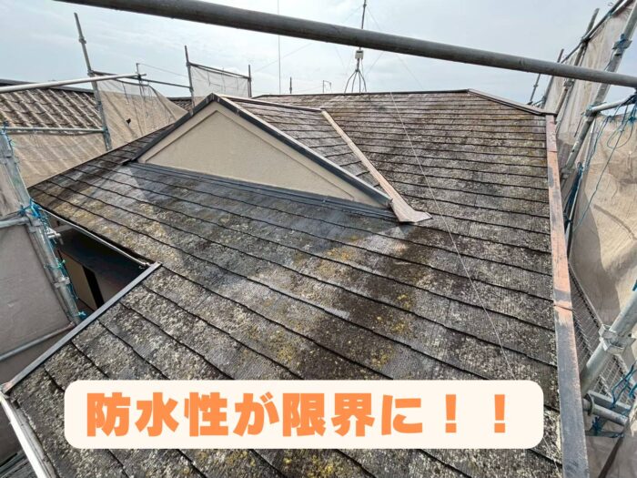 施工前のスレート屋根全景。コケや色あせが広がり防水性能が低下している様子