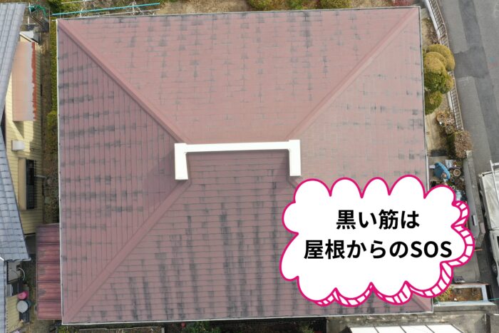屋根全体に黒い筋が広がっている屋根全景