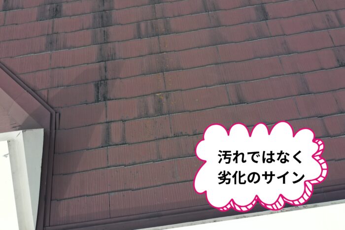 屋根の表面のアップ写真。黒ずみが広がっている。