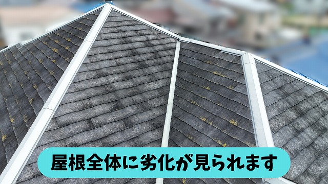 春日井市熊野町の住宅の屋根に広がる色あいやコケの発生状況