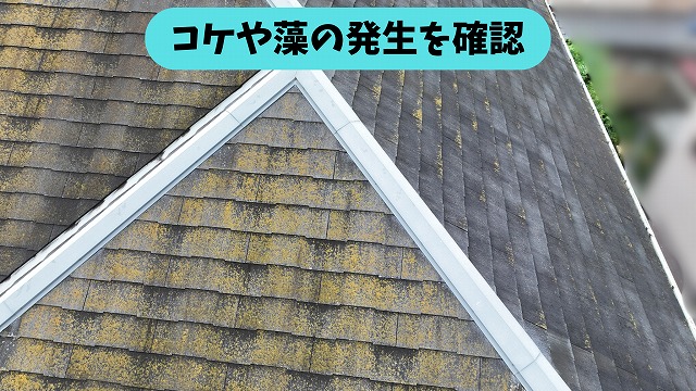 春日井市熊野町の住宅の屋根に発生したコケや藻の様子