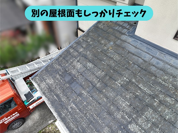 春日井市篠木町の別の屋根面に見られる色あせや苔